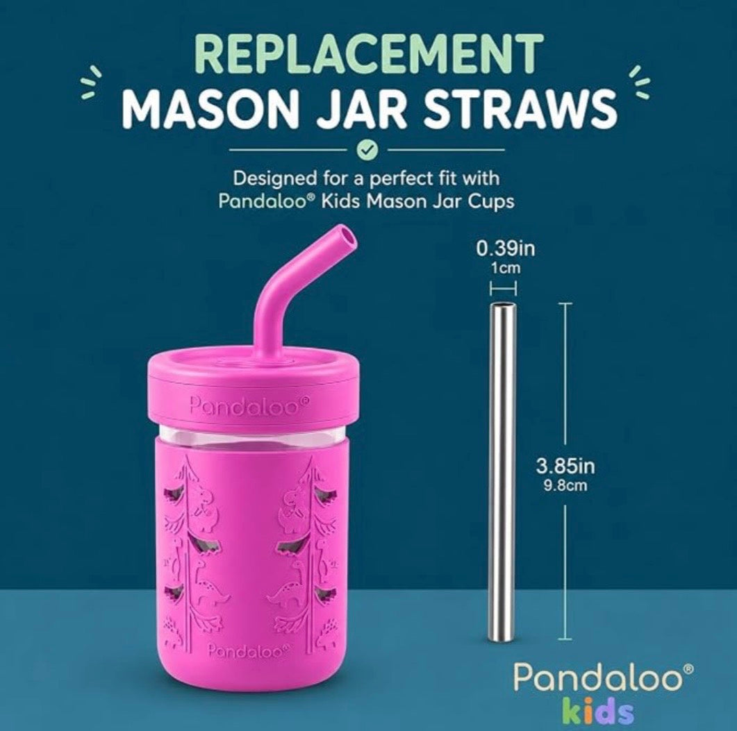 Mason Jar Replacement Stainless Steel Straws – 4 Pack