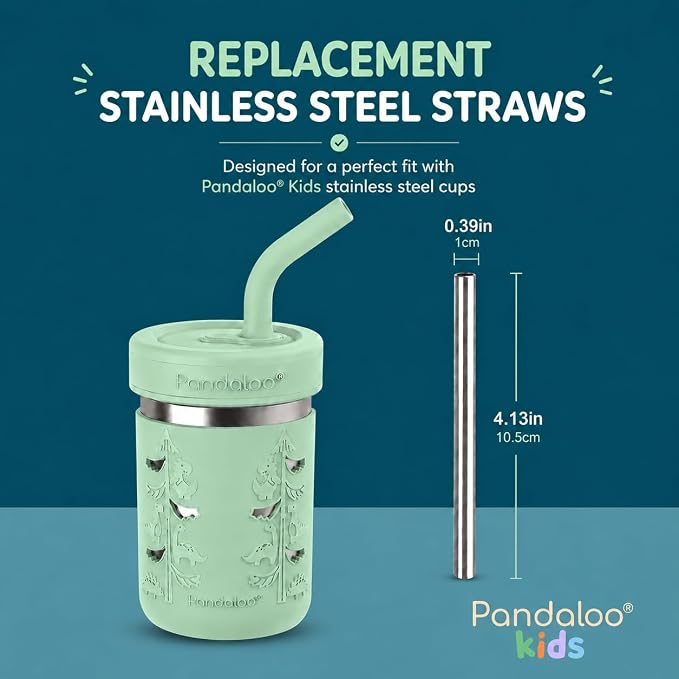 Smoothie Cup Replacement Stainless Steel Straws – 4 Pack