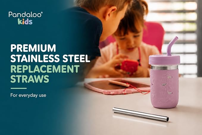 Smoothie Cup Replacement Stainless Steel Straws – 4 Pack