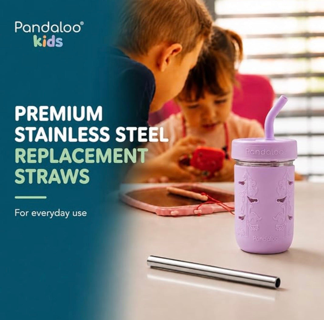 Mason Jar Replacement Stainless Steel Straws – 4 Pack